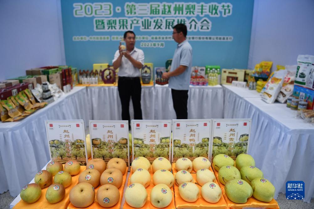 1331银河国际
